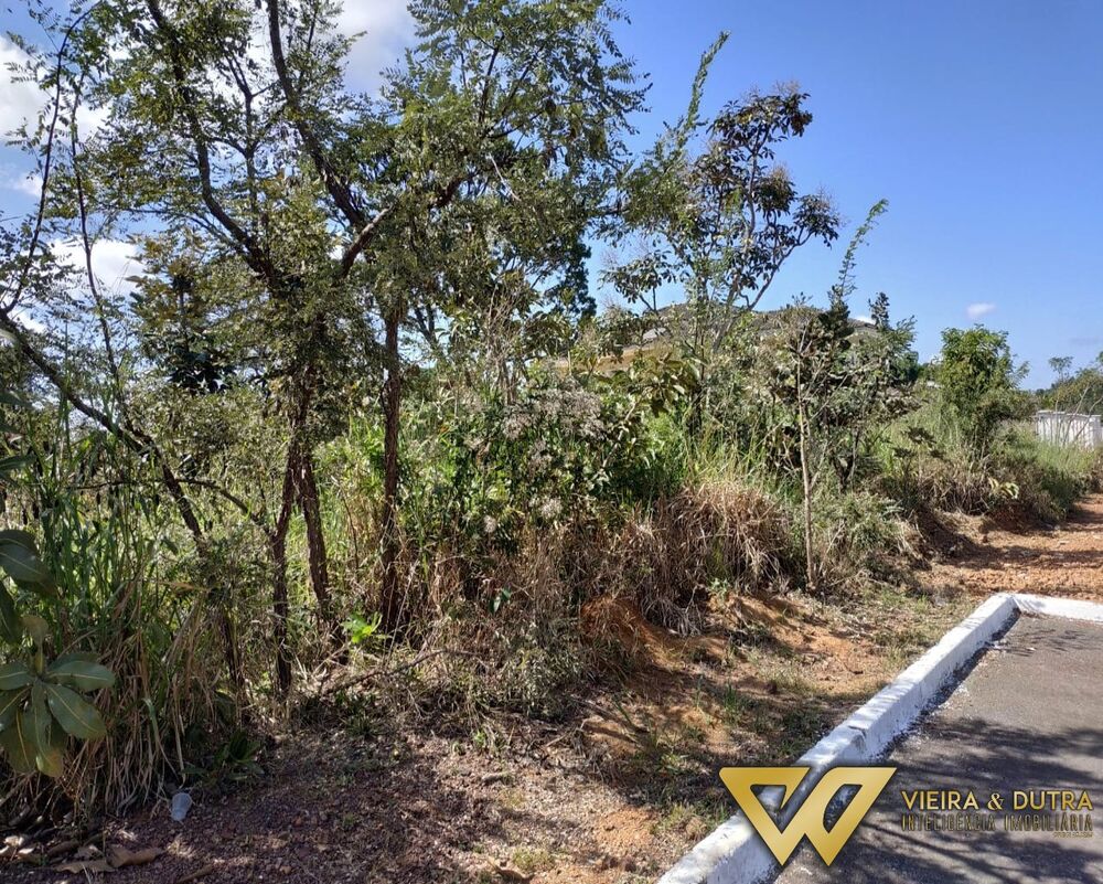 Terreno à venda, 2500m² - Foto 4
