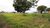 Terreno, 2500 m² - Foto 3