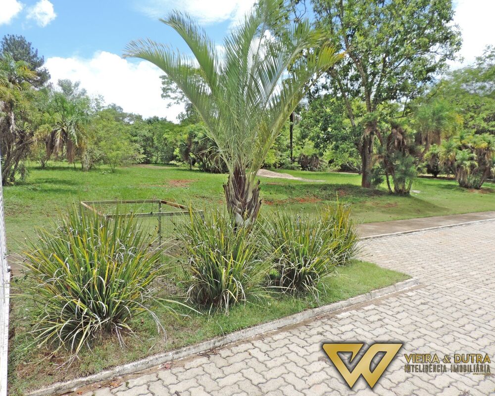 Terreno, 2500 m² - Foto 3