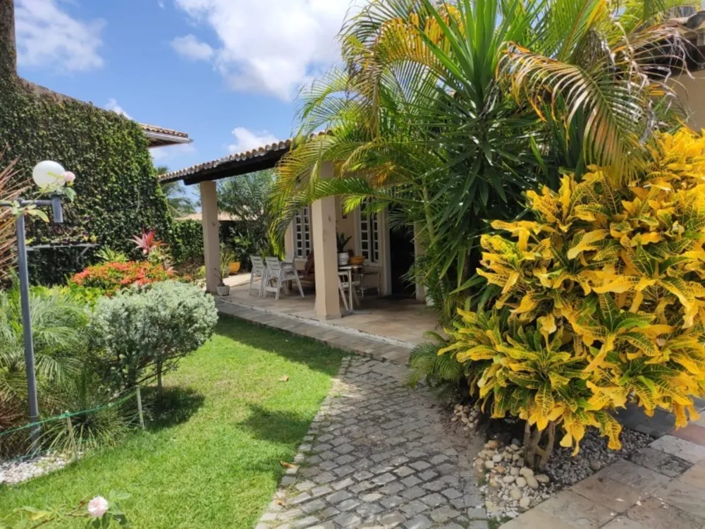 Casa, 4 quartos, 800 m² - Foto 3