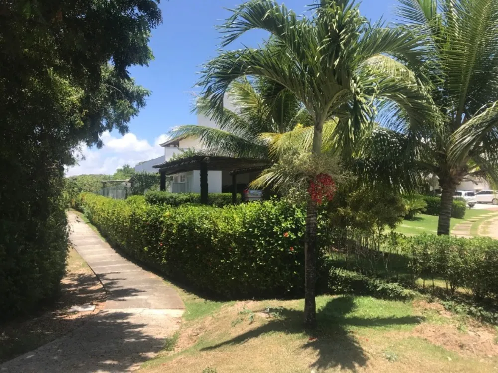 Casa, 4 quartos, 470 m² - Foto 3