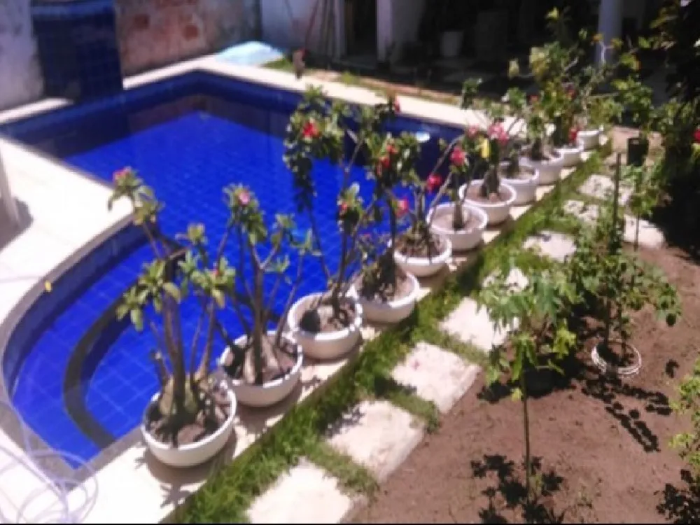 Casa, 4 quartos, 580 m² - Foto 4