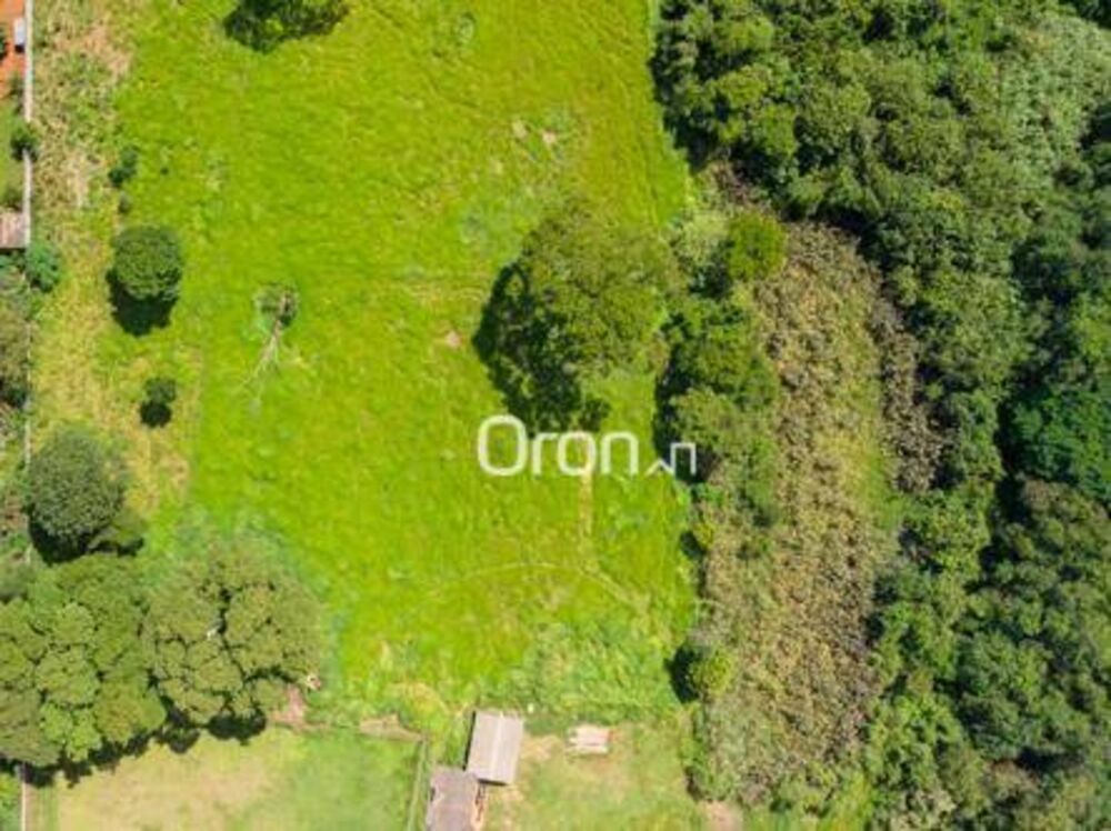 Terreno, 3 hectares - Foto 6