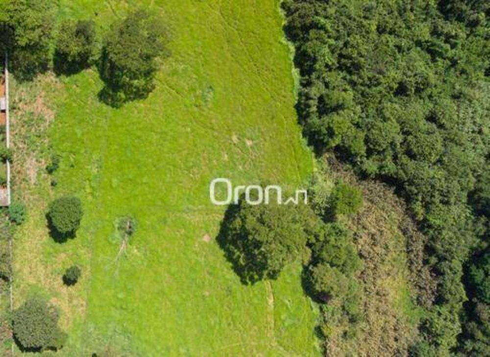 Terreno, 3 hectares - Foto 9