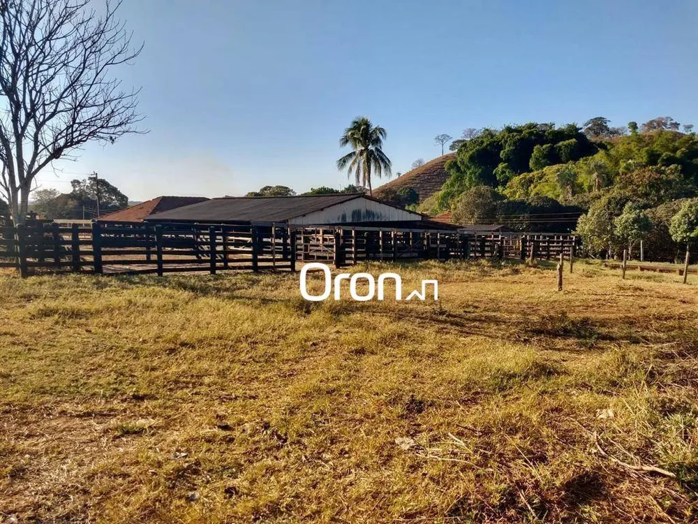Terreno, 350 hectares - Foto 6