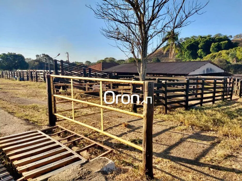 Terreno, 350 hectares - Foto 7