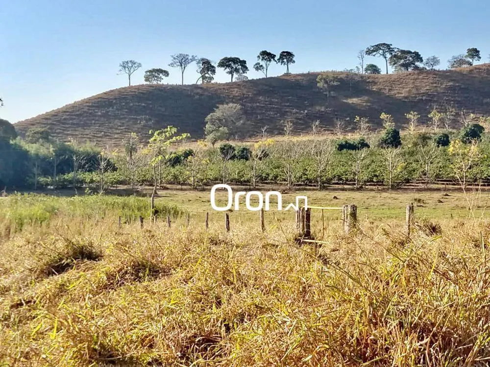 Terreno, 350 hectares - Foto 2