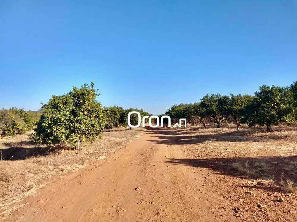 Terreno, 350 hectares - Foto 4
