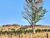 Fazenda-Sítio-Chácara, 350 hectares - Foto 1