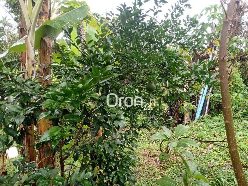 Chácara à venda com 3 quartos, 4000M2 - Foto 3