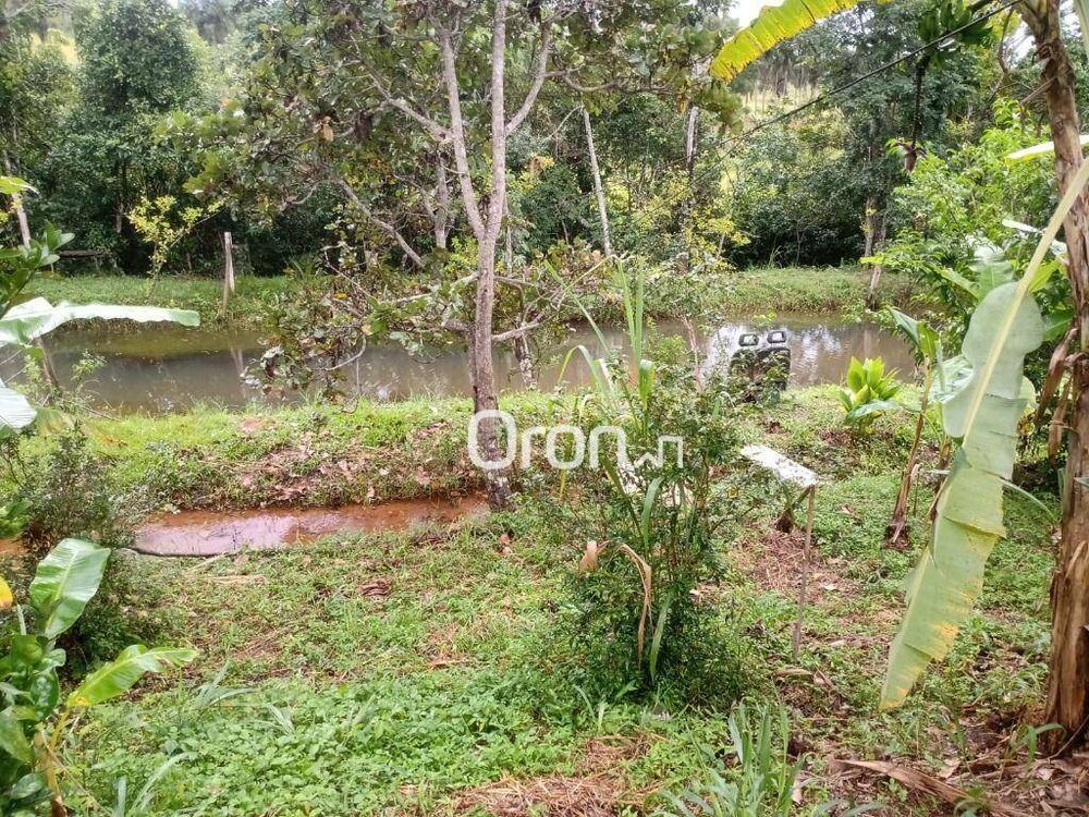 Chácara à venda com 3 quartos, 4000M2 - Foto 2