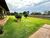 Chácara, 1 quarto, 5000 m² - Foto 1