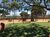 Loteamento e Condomínio, 407 m² - Foto 3