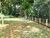 Chácara, 2 quartos, 5 hectares - Foto 1