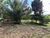 Chácara, 2 quartos, 5 hectares - Foto 3