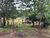 Chácara, 3 quartos, 1 hectares - Foto 4