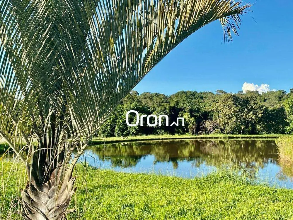 Chácara, 4 quartos, 1540 m² - Foto 10