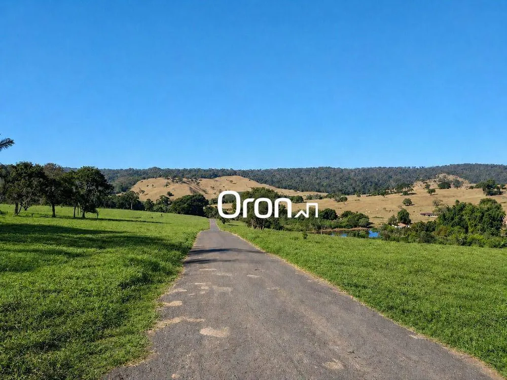 Fazenda, 350 hectares - Foto 6