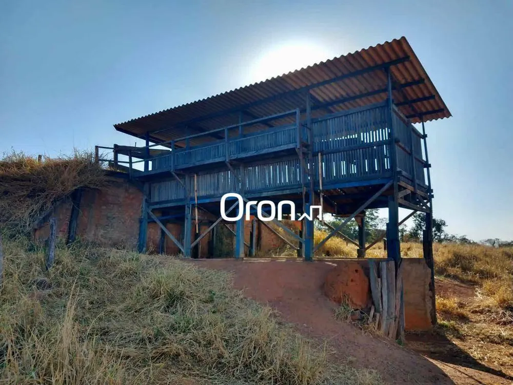 Fazenda, 350 hectares - Foto 4