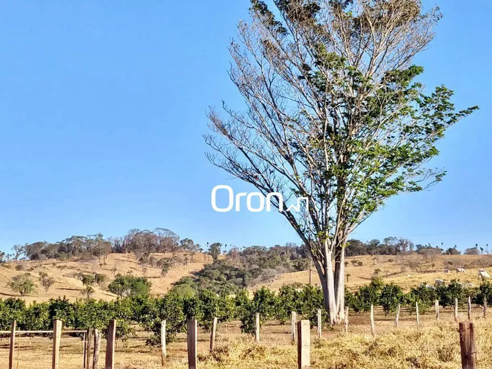 Fazenda, 350 hectares - Foto 7
