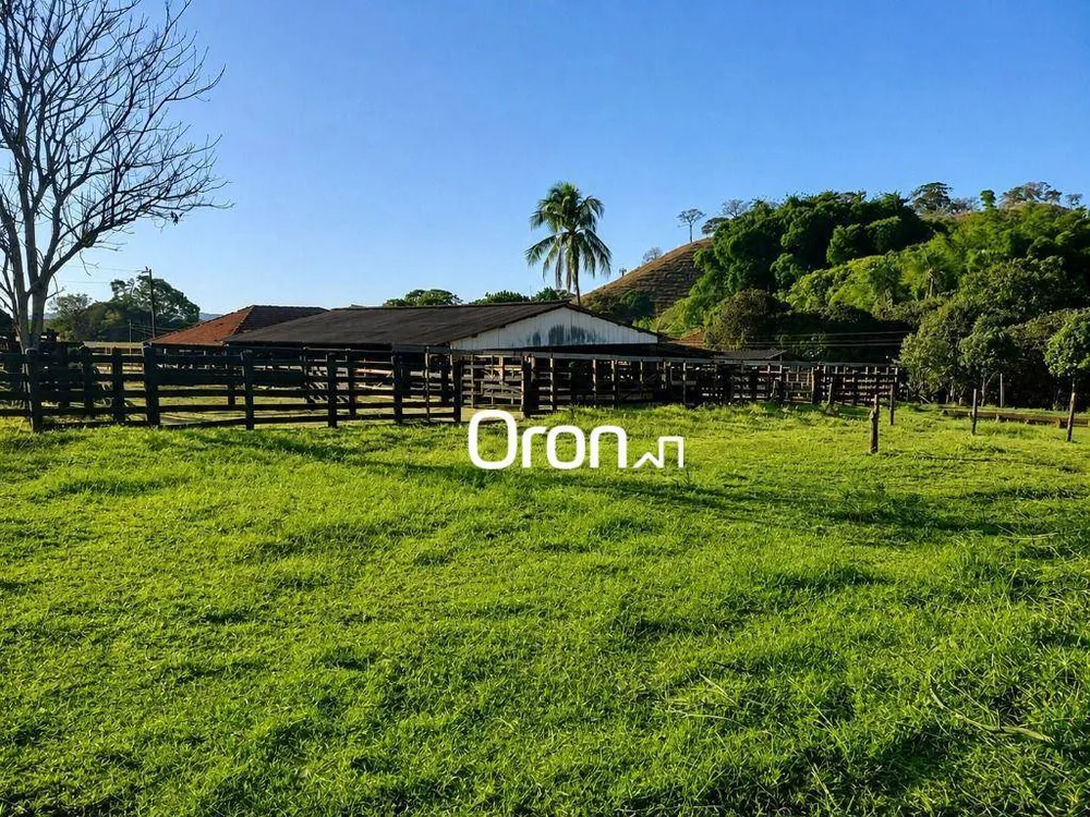 Fazenda, 350 hectares - Foto 1