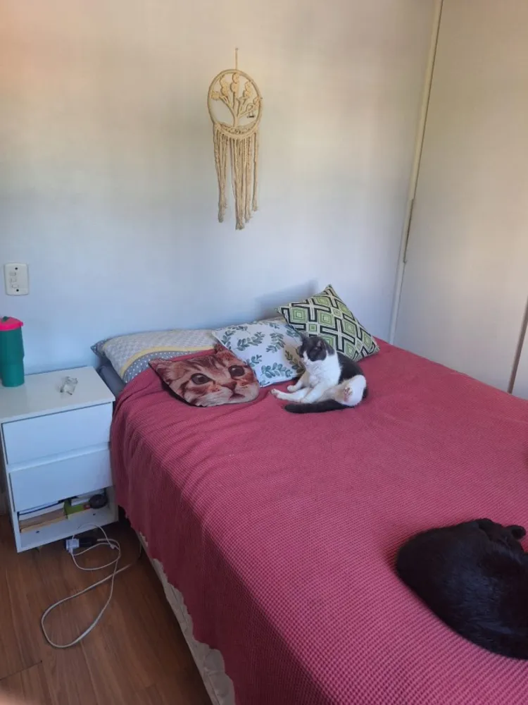 Apartamento, 63 m² - Foto 5