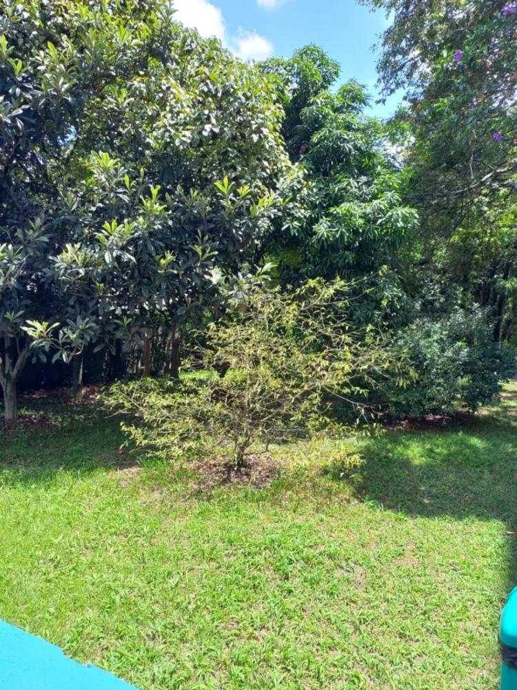 Apartamento, 2 quartos, 60 m² - Foto 20
