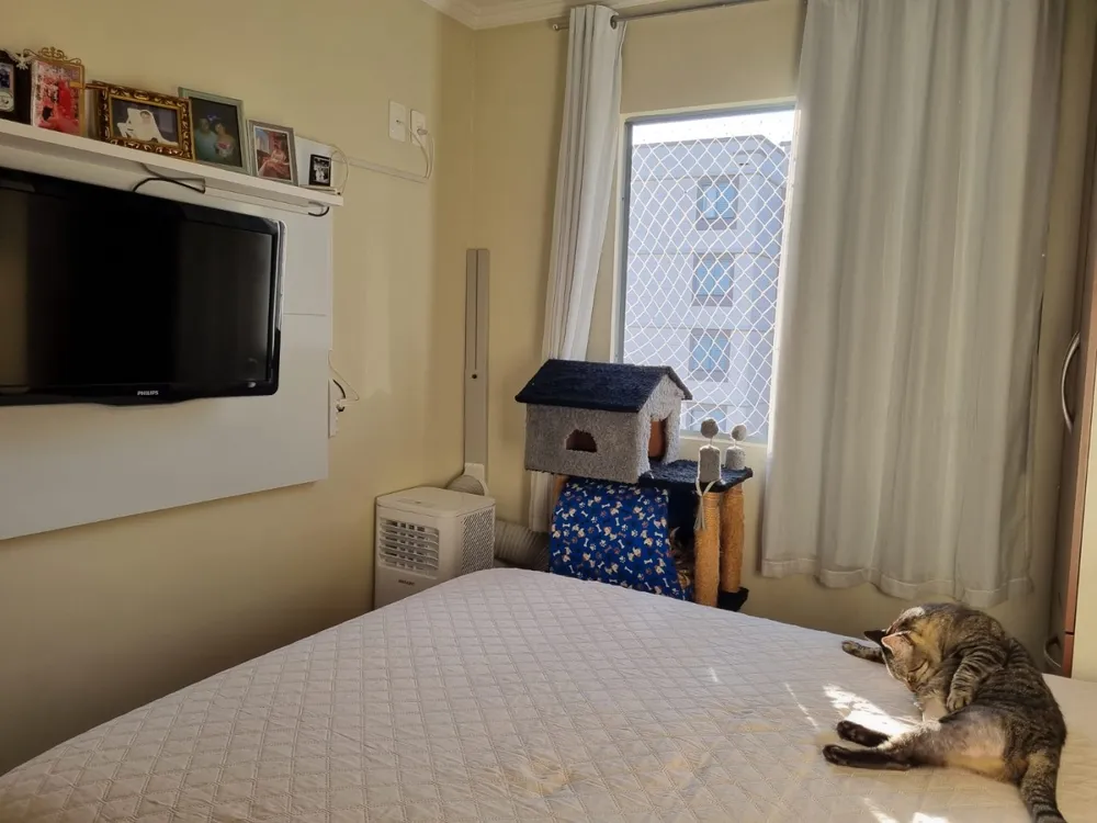 Apartamento, 2 quartos - Foto 12
