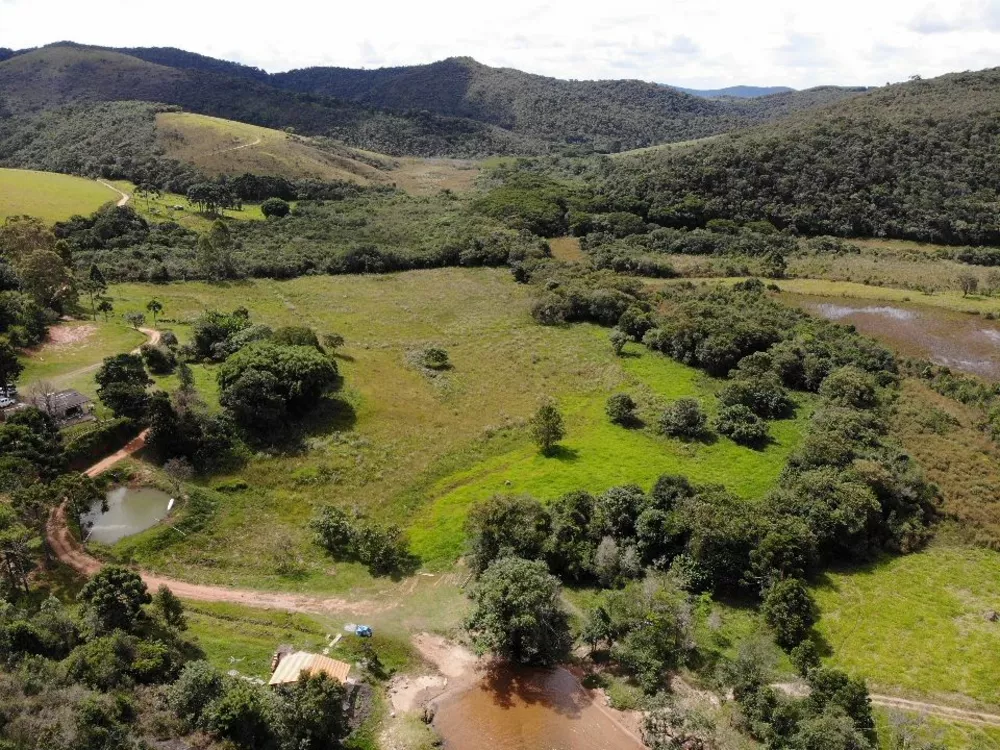 Fazenda, 85 hectares - Foto 5