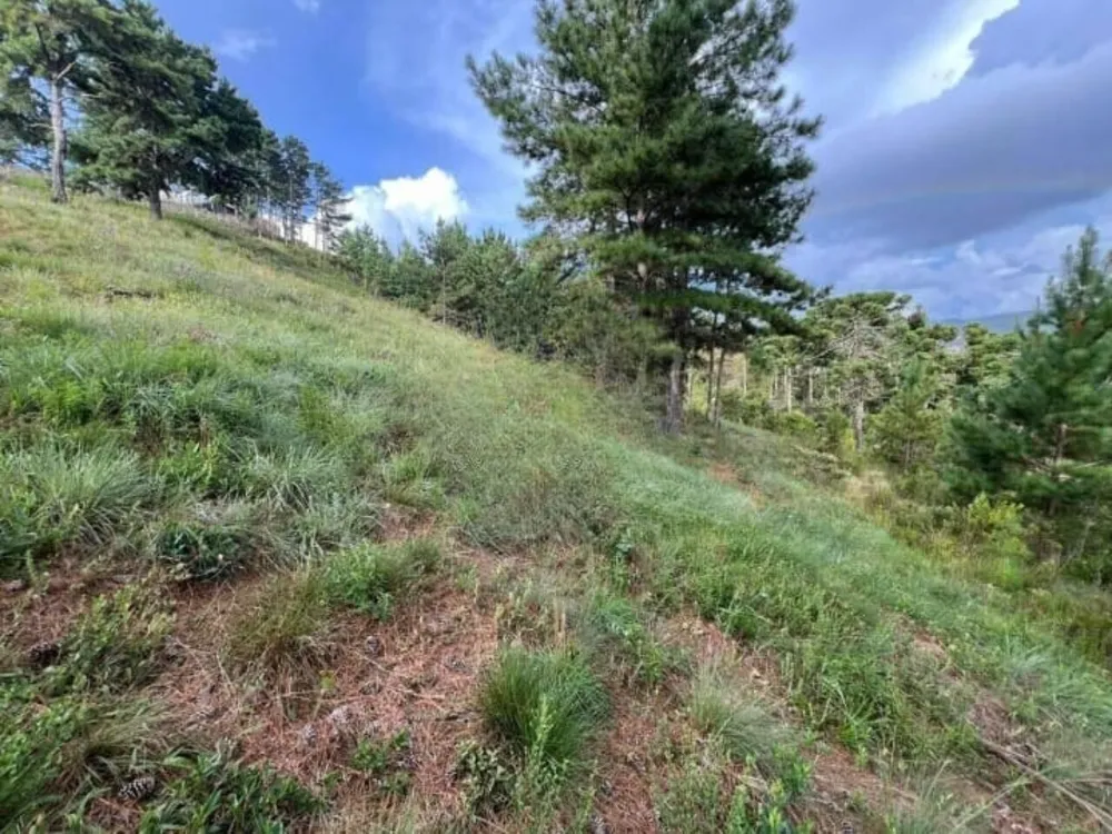 Terreno, 5532 m² - Foto 1