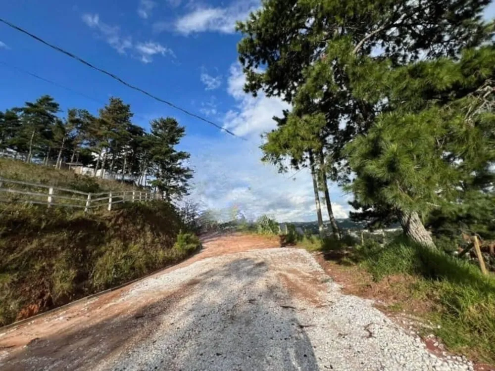 Terreno, 5532 m² - Foto 3
