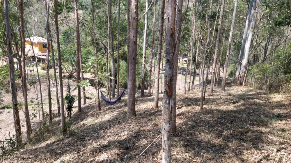 Sítio, 4 quartos, 8 hectares - Foto 36