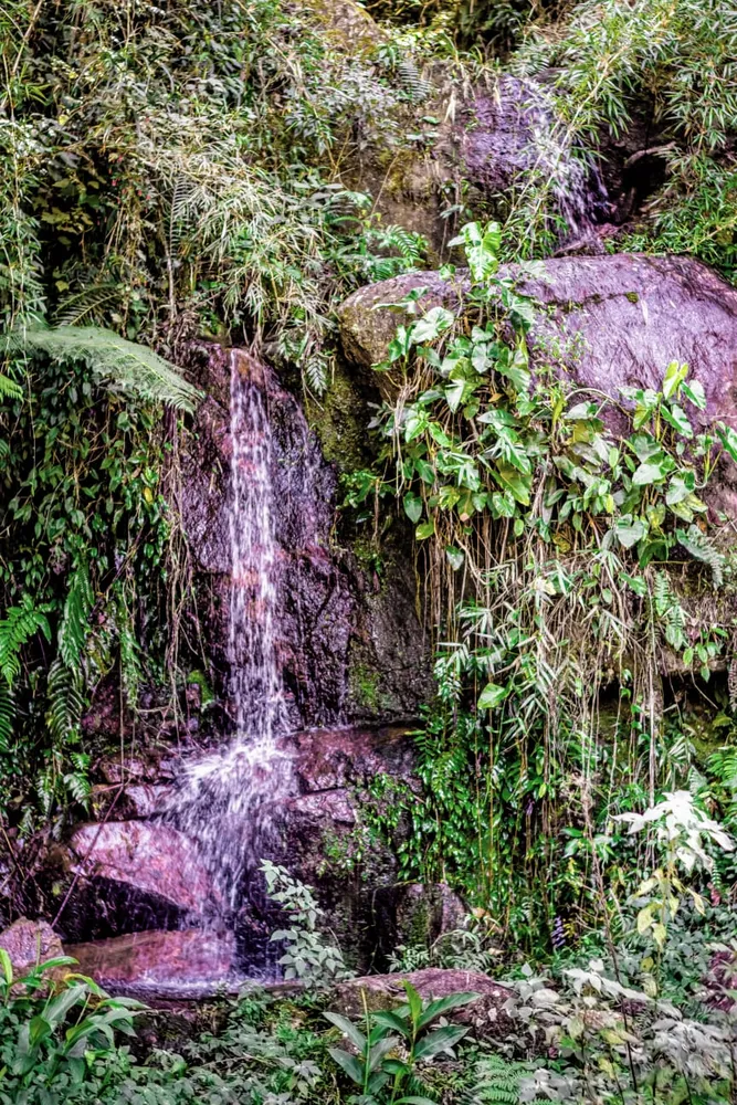 Sítio, 4 quartos, 8 hectares - Foto 43
