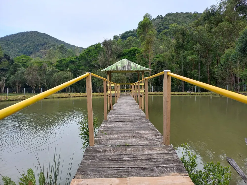 Sítio, 4 quartos, 8 hectares - Foto 49