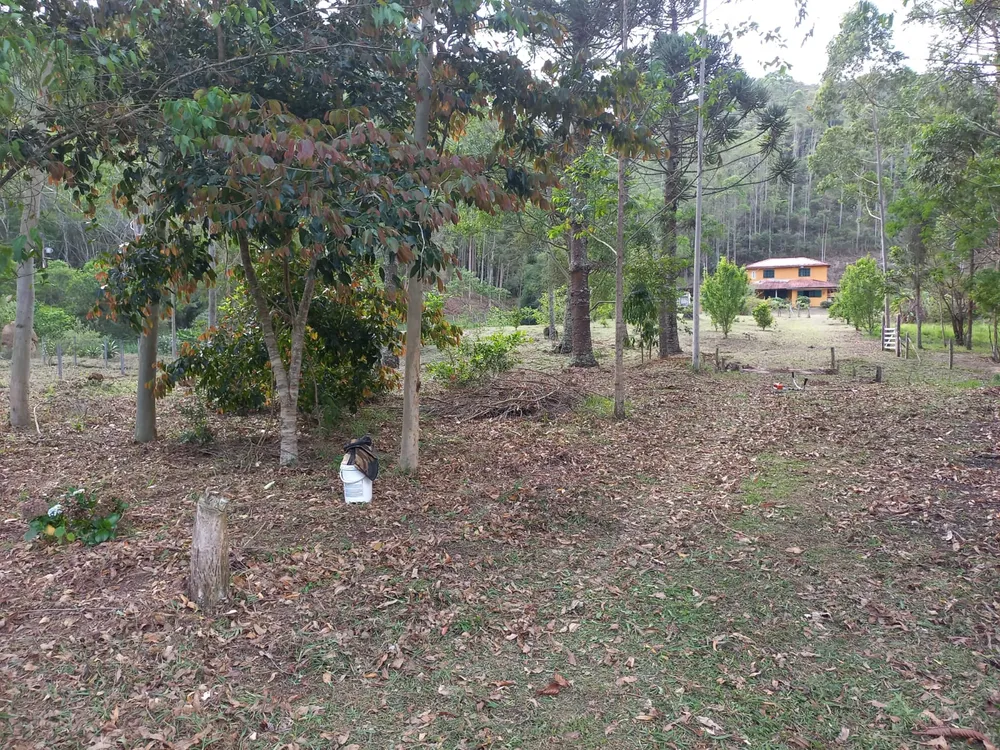 Sítio, 4 quartos, 8 hectares - Foto 33
