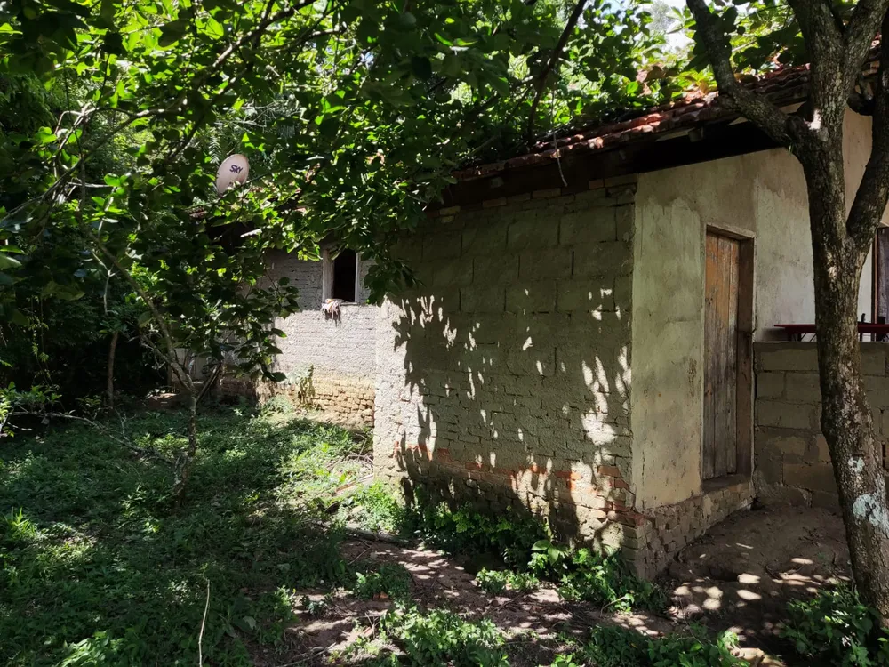 Sítio, 2 quartos, 3 hectares - Foto 9