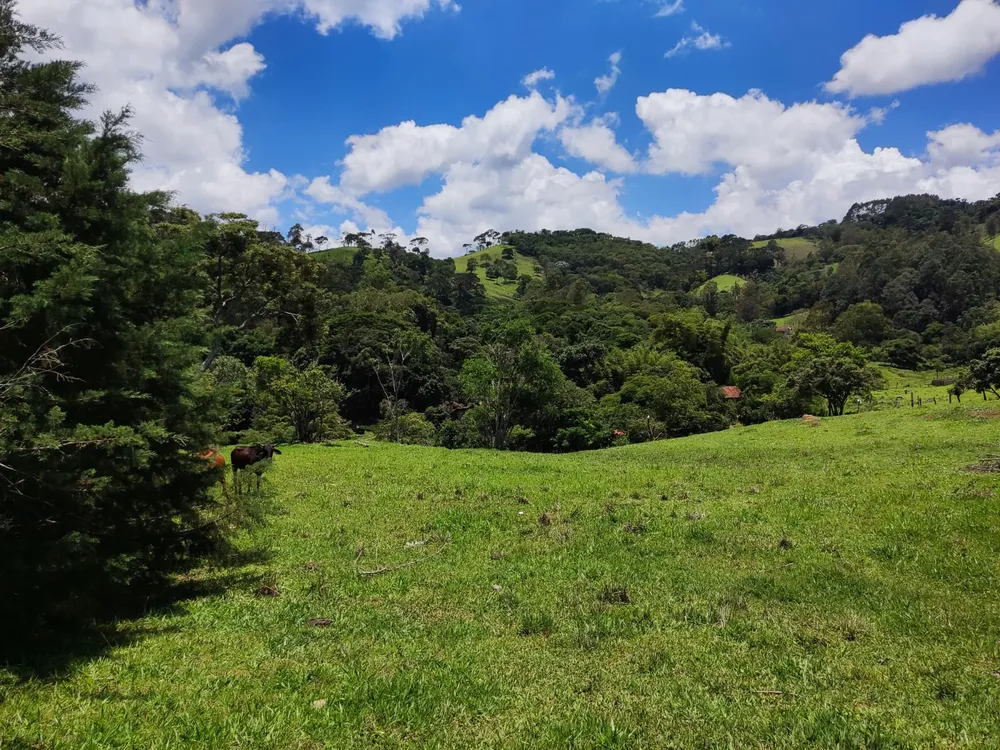 Sítio, 2 quartos, 3 hectares - Foto 1