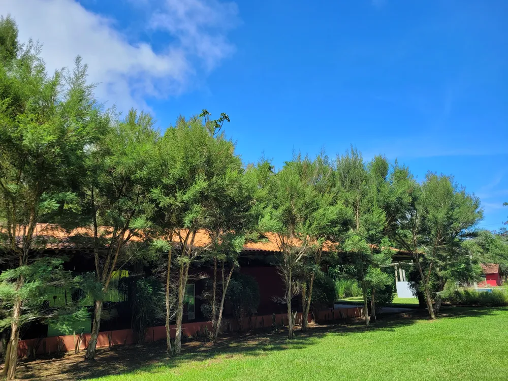 Sítio, 7 quartos, 26 hectares - Foto 15