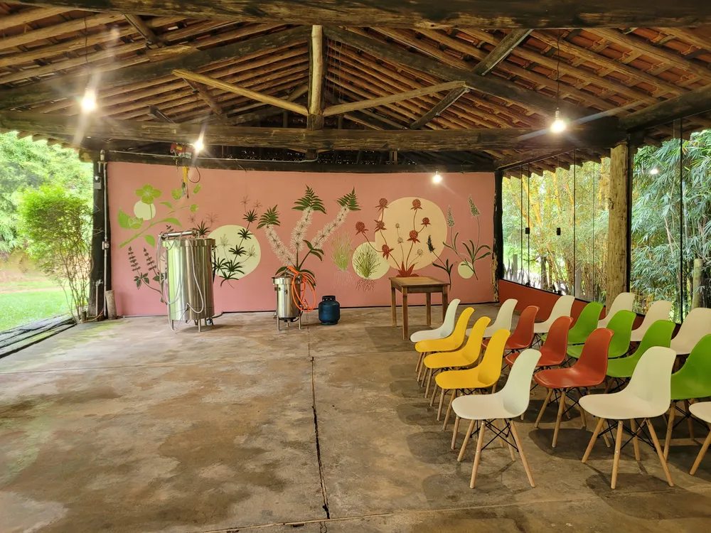 Sítio, 7 quartos, 26 hectares - Foto 18