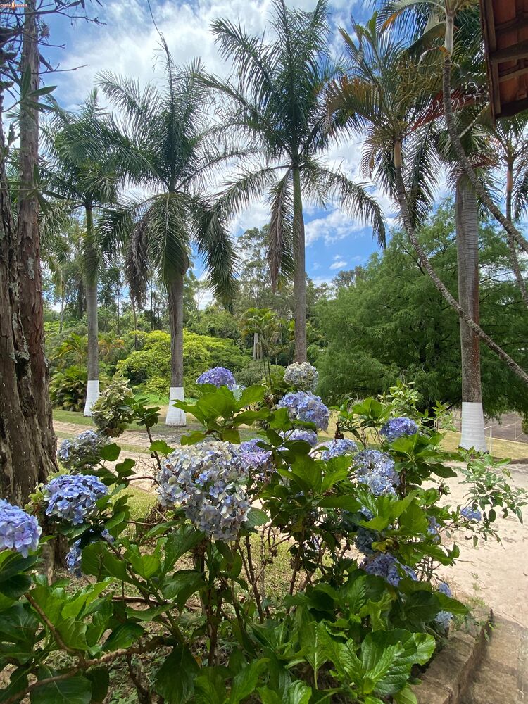 Chácara, 4 quartos, 225 m² - Foto 12