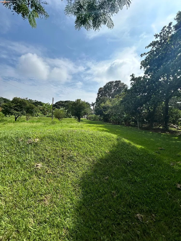 Chácara, 5300 m² - Foto 7
