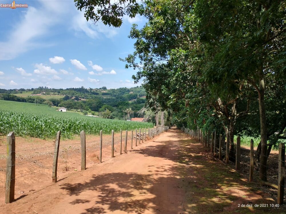 Sítio, 16 hectares - Foto 4