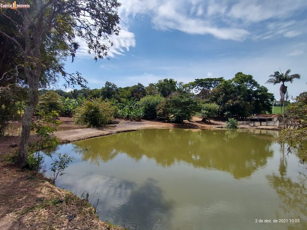 Sítio, 16 hectares - Foto 3