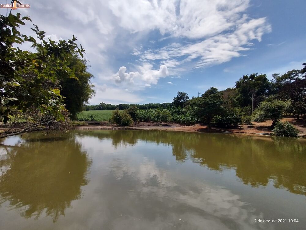 Sítio, 16 hectares - Foto 2