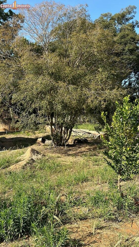 Terreno, 1000 m² - Foto 3