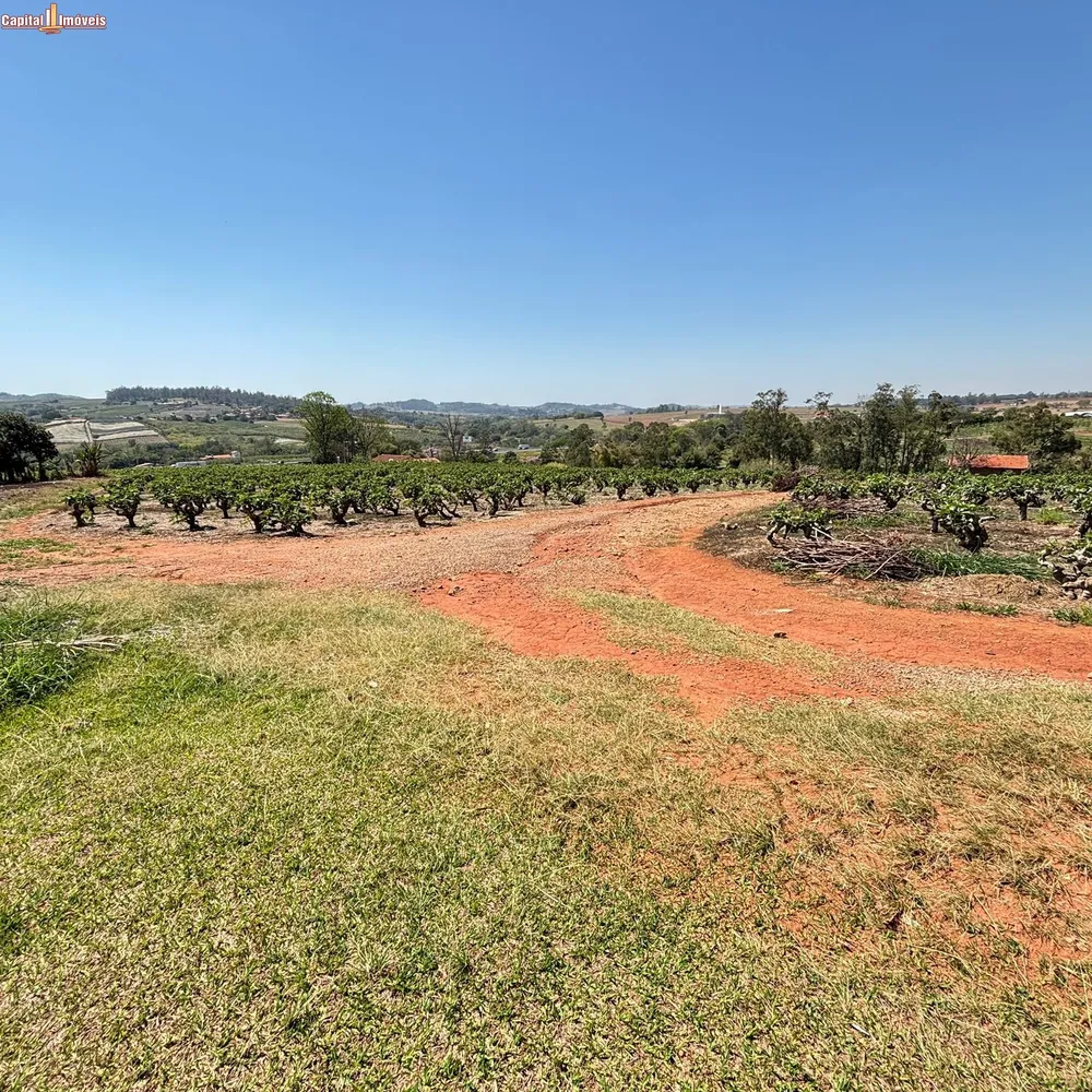 Fazenda, 5 hectares - Foto 5