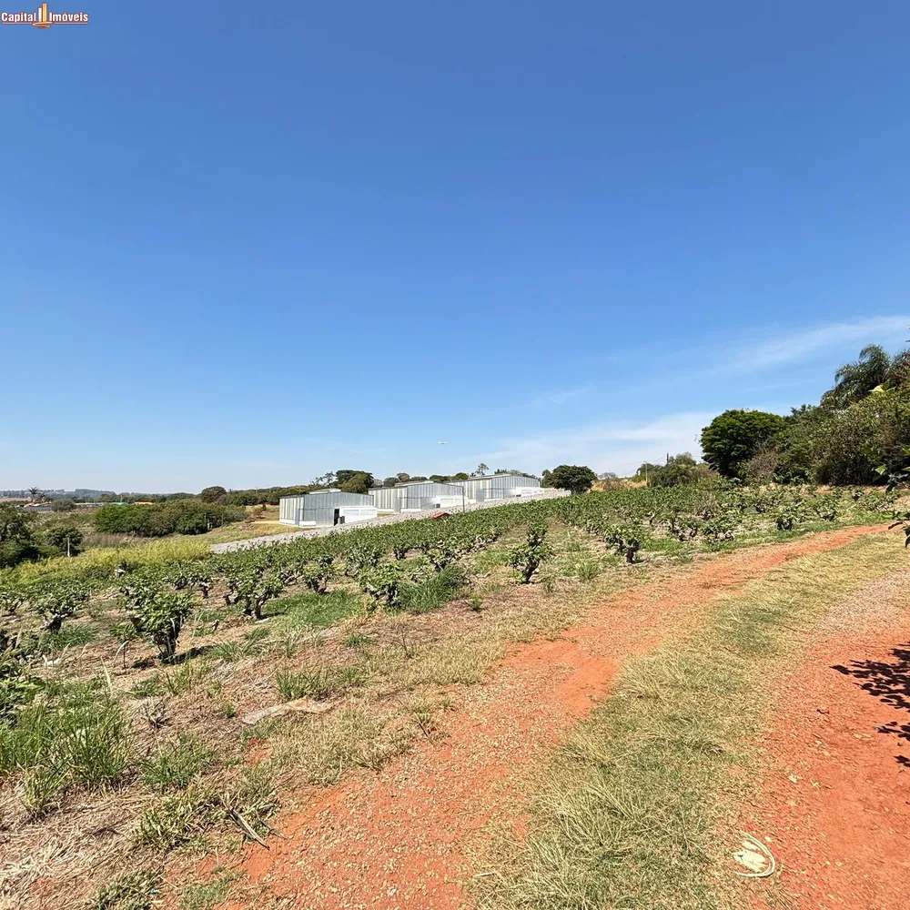 Fazenda, 5 hectares - Foto 12