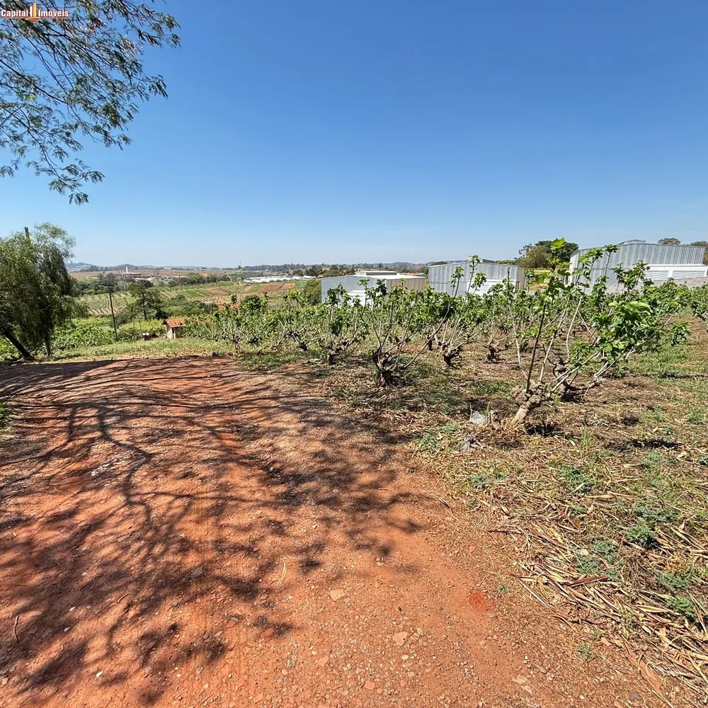 Fazenda, 5 hectares - Foto 7