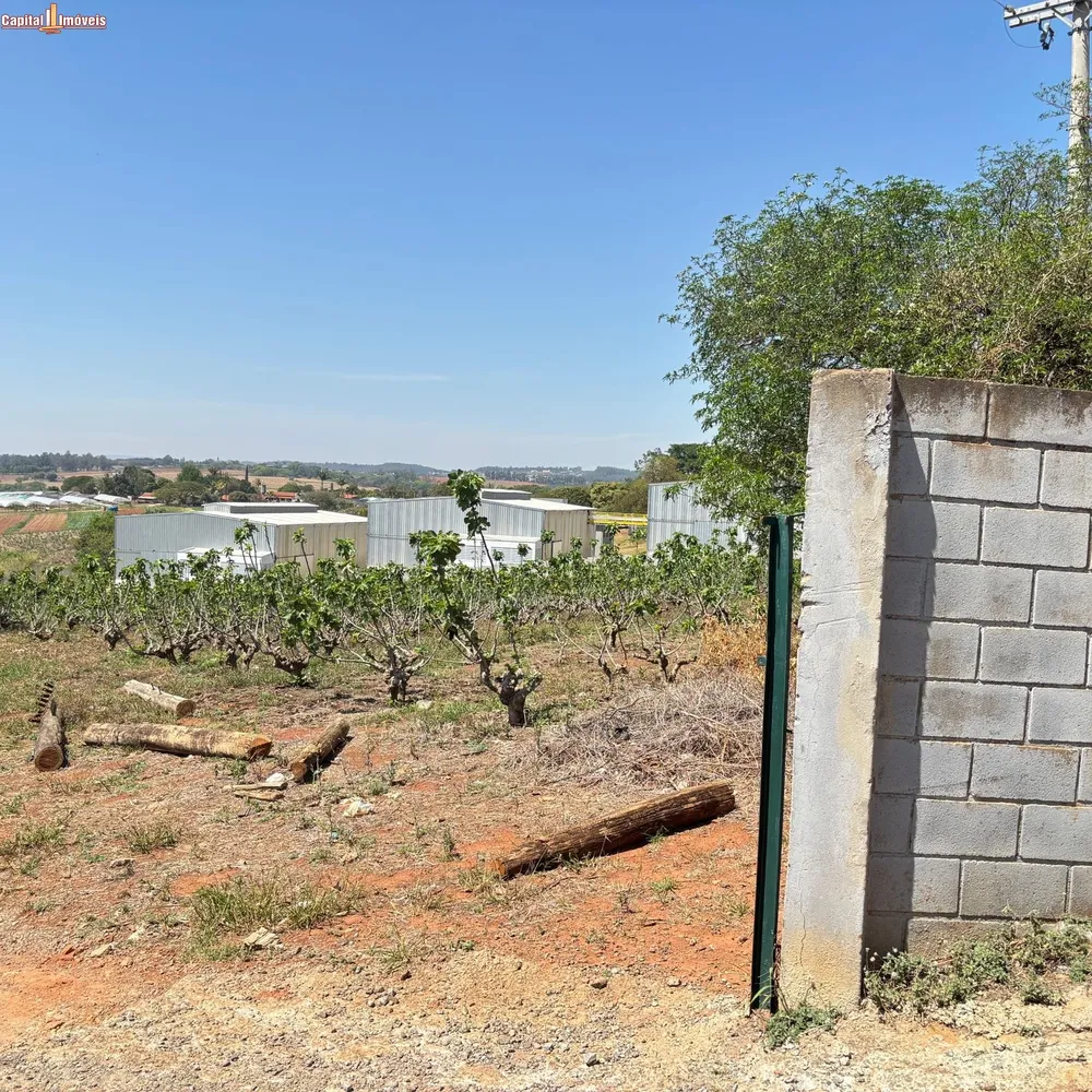 Fazenda, 5 hectares - Foto 8