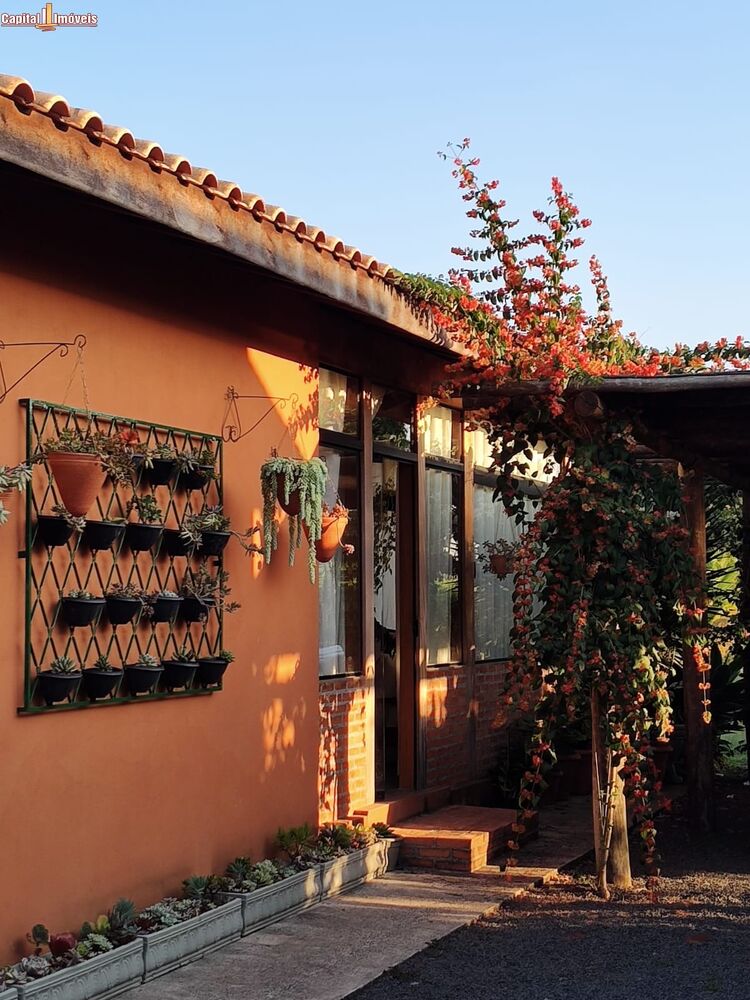 Sítio à venda com 2 quartos, 350m² - Foto 2